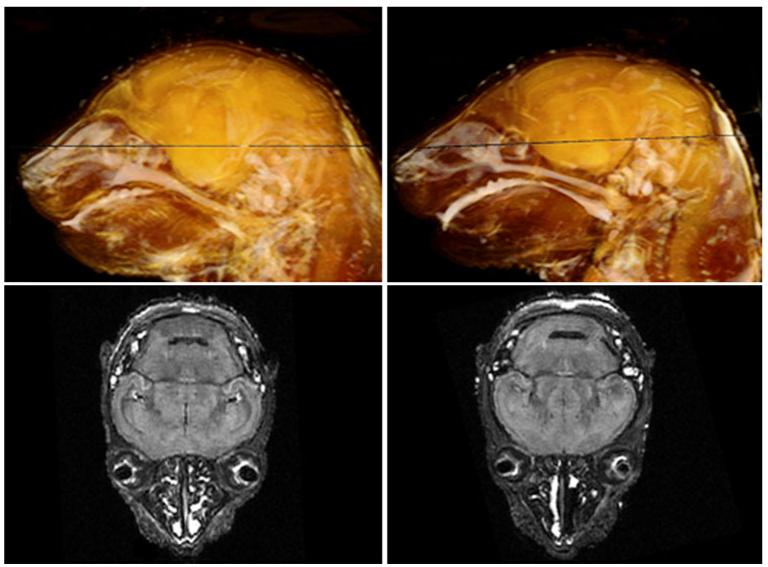 Fig. 8