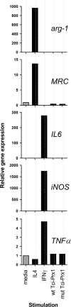 Fig. 6