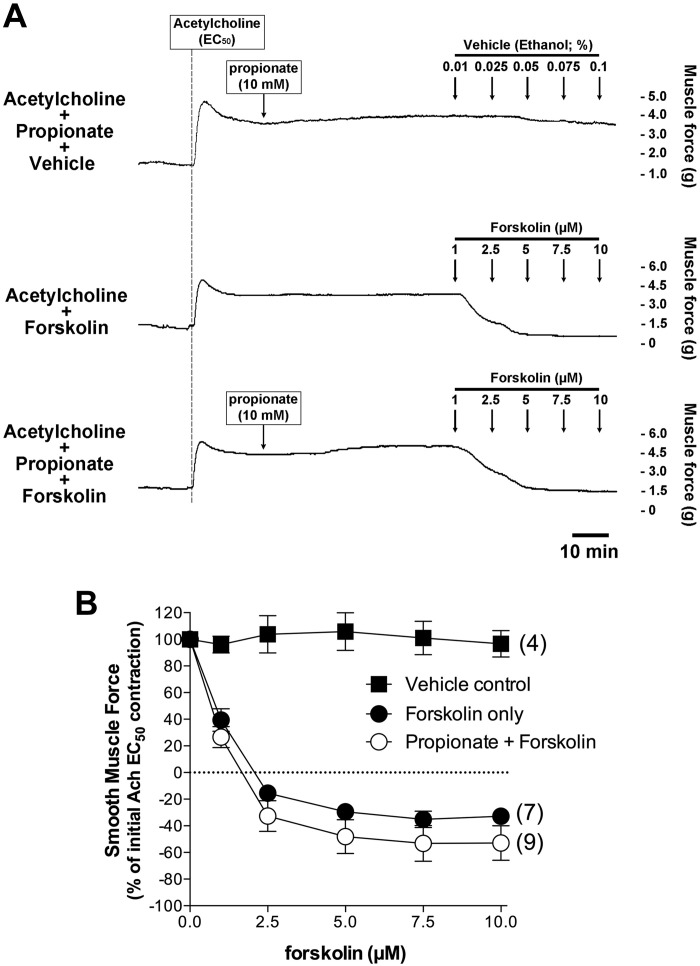 Fig. 8.