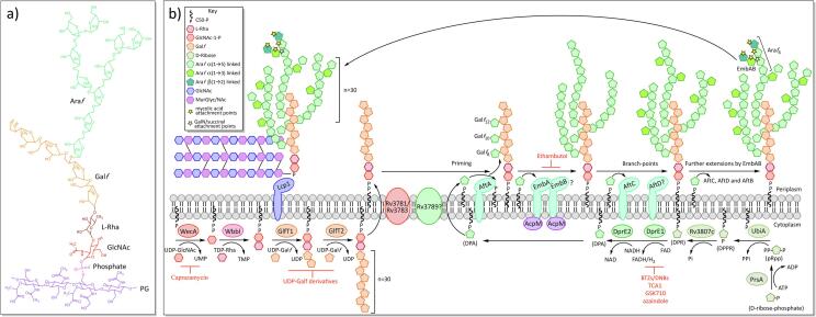 Fig. 3