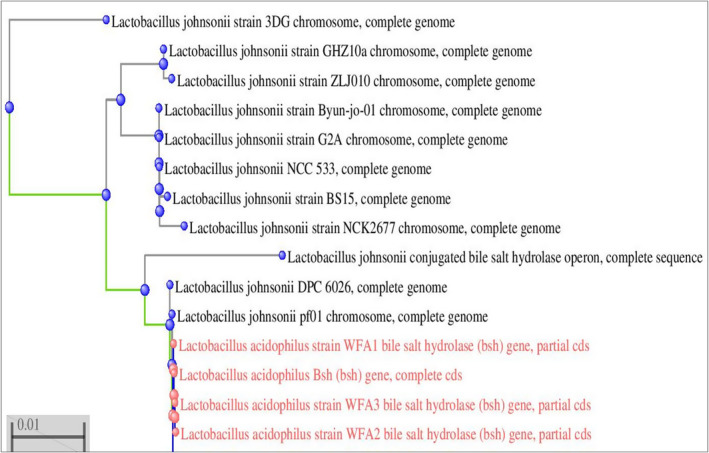 FIGURE 2