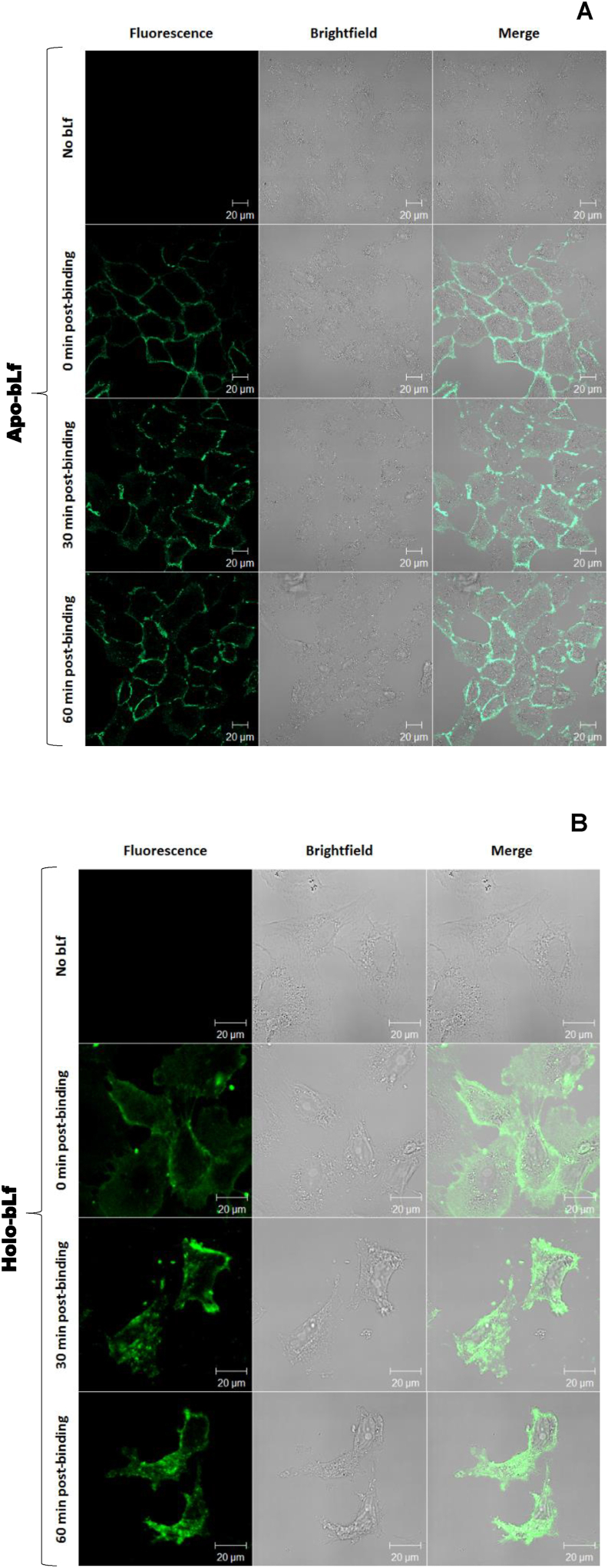 Figure 6