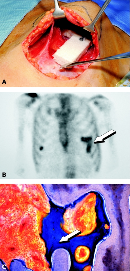 Fig. 9