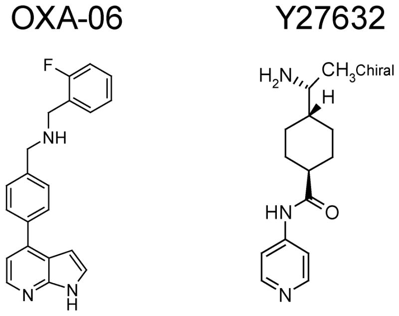 ROCK1 and ROCK2 are Required for Non-Small Cell Lung Cancer Anchorage ...