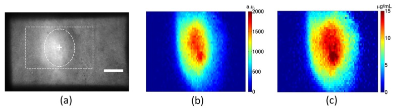 Fig. 4