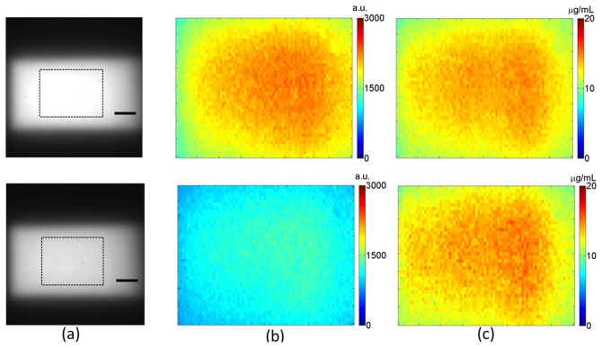 Fig. 3