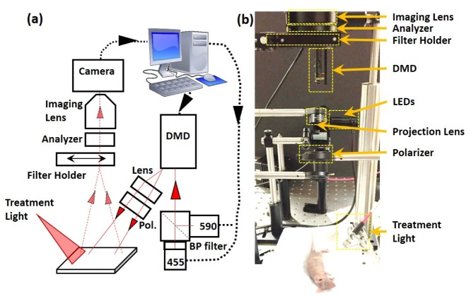 Fig. 1