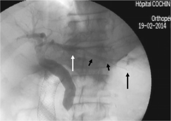 Figure 1b.