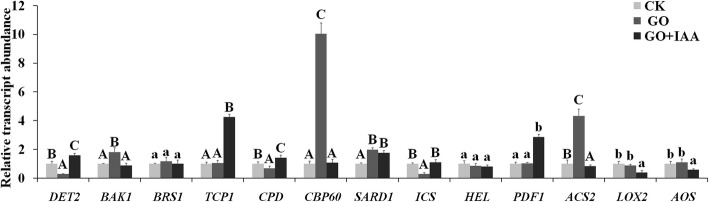 Fig. 6