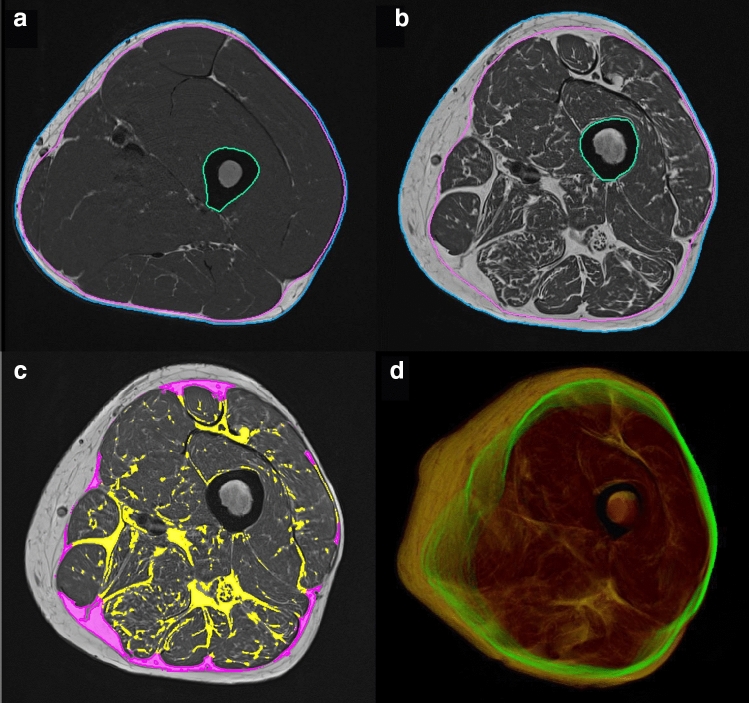 Fig. 7