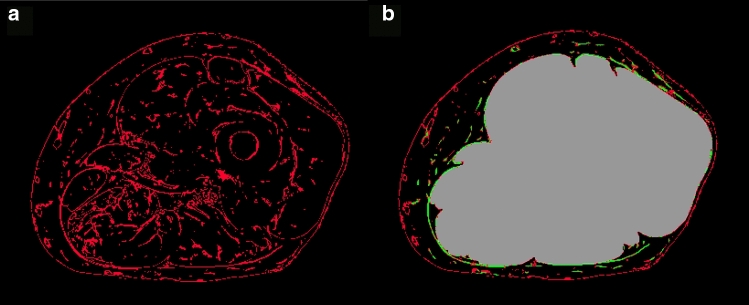 Fig. 3