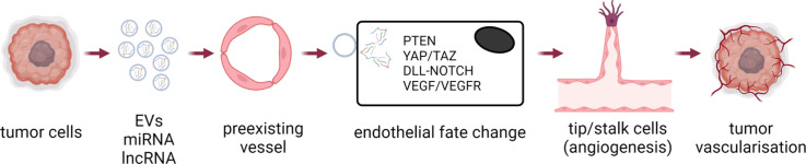 Image, graphical abstract