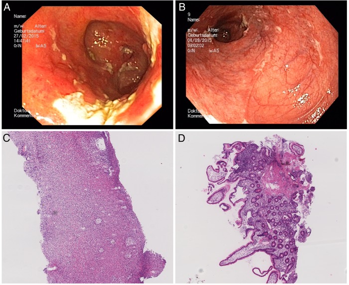 Figure 1