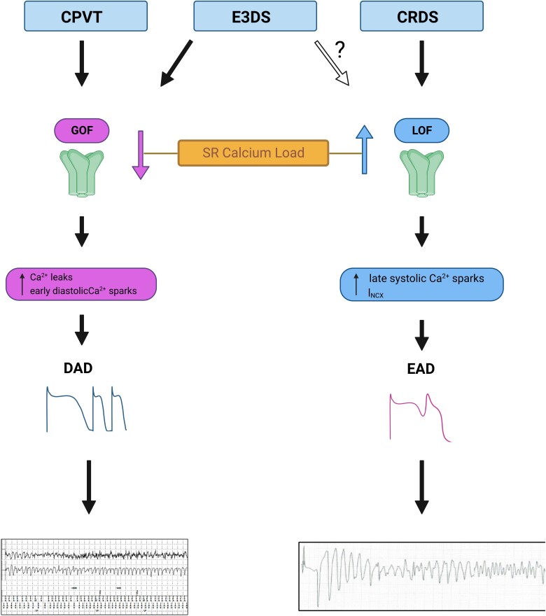 Graphical abstract