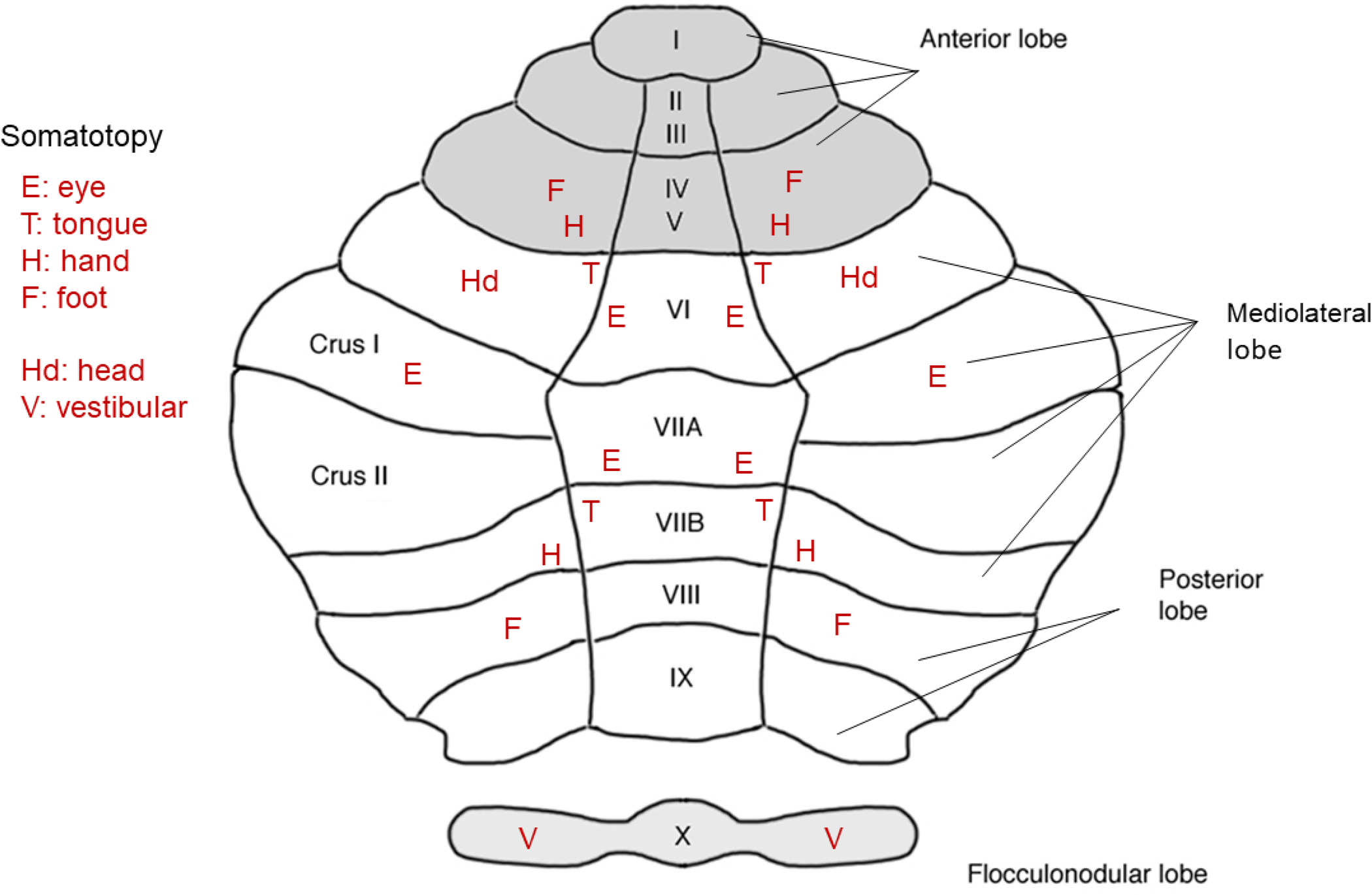 Figure 8.