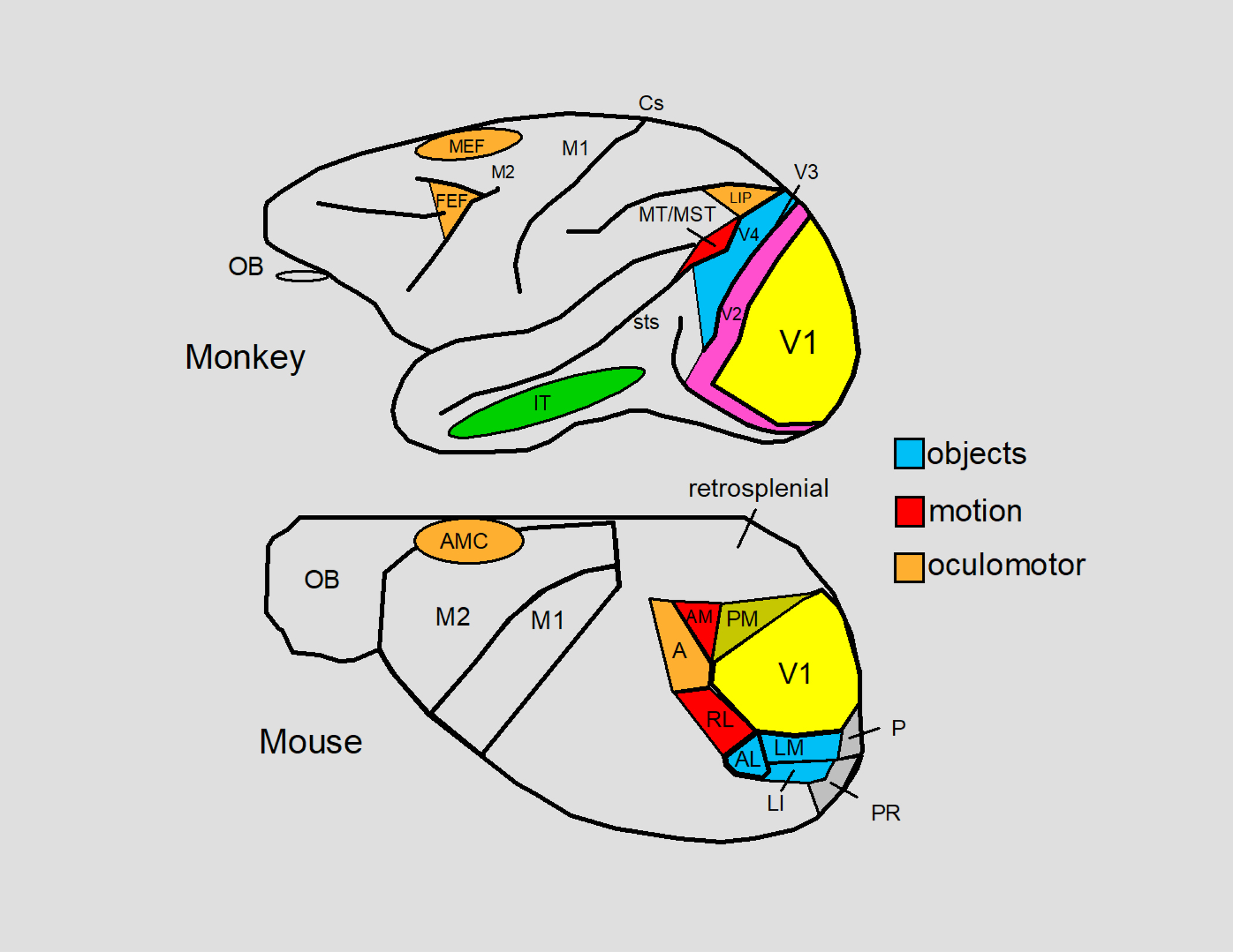 Figure 5.