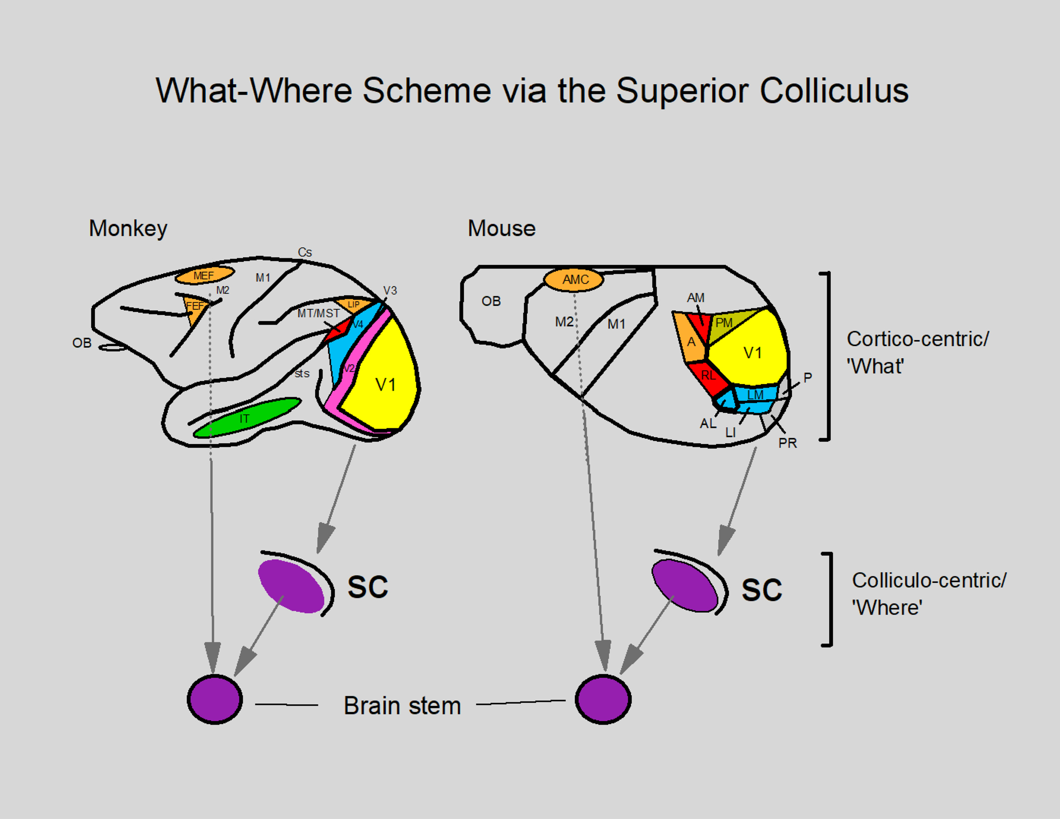 Figure 7.