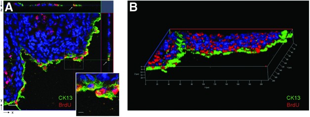 FIG. 7.