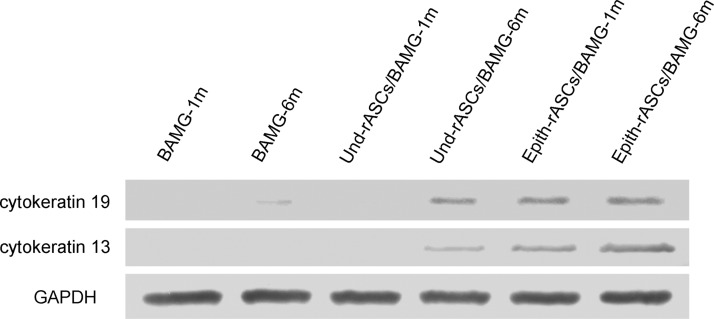 FIG. 9.