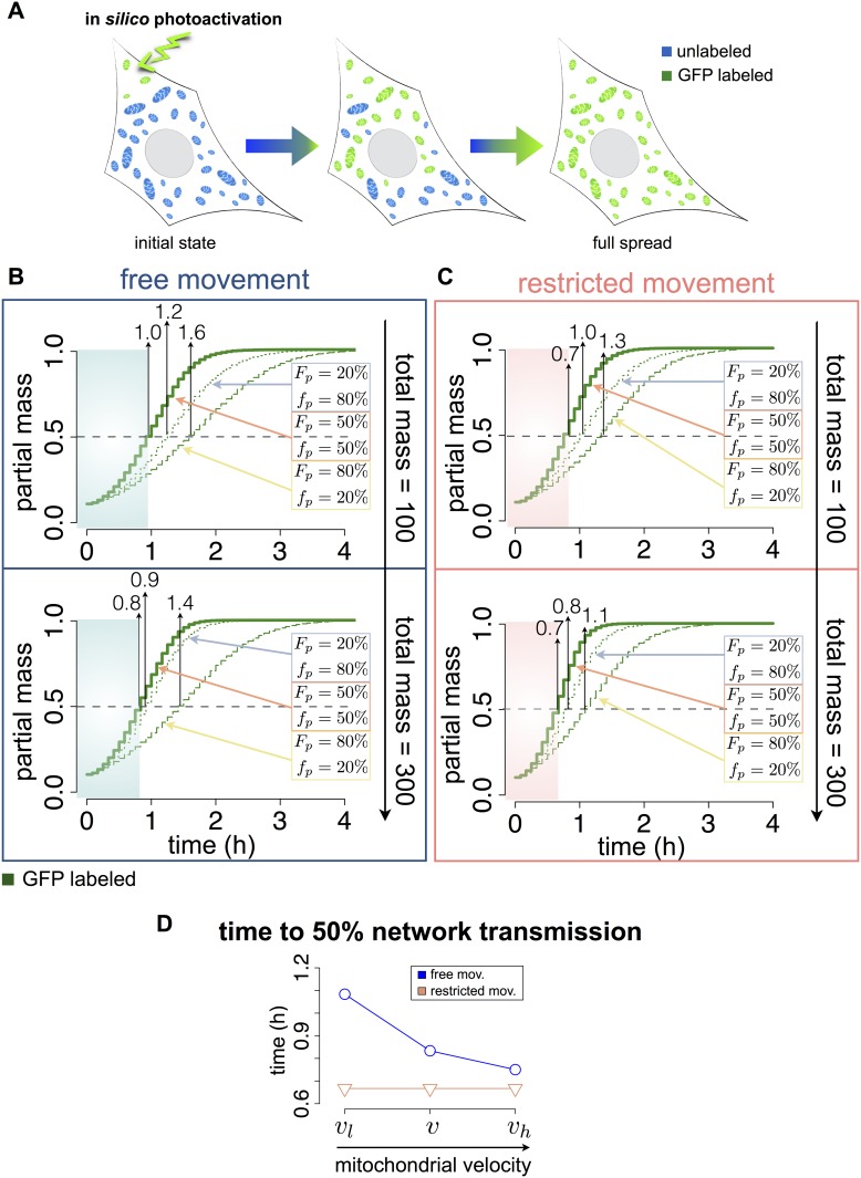 Fig 4