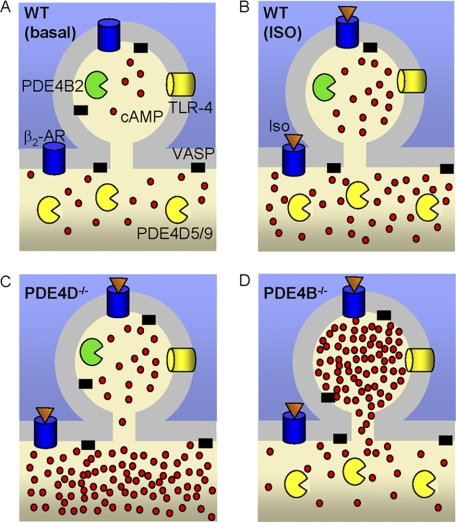 FIGURE 11.