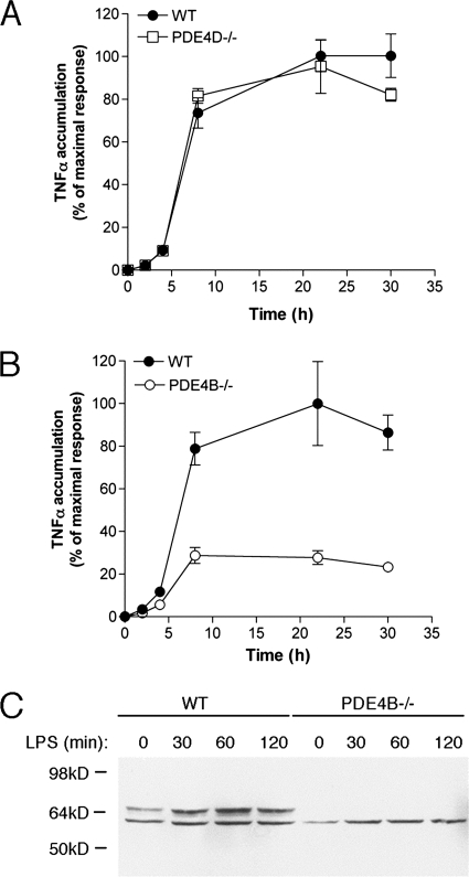 FIGURE 10.