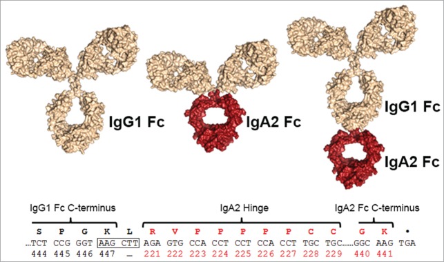 Figure 1.