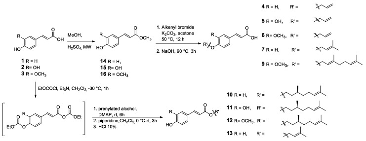 Scheme 1