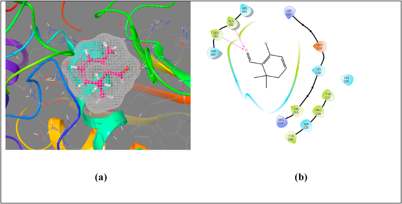 Figure 1