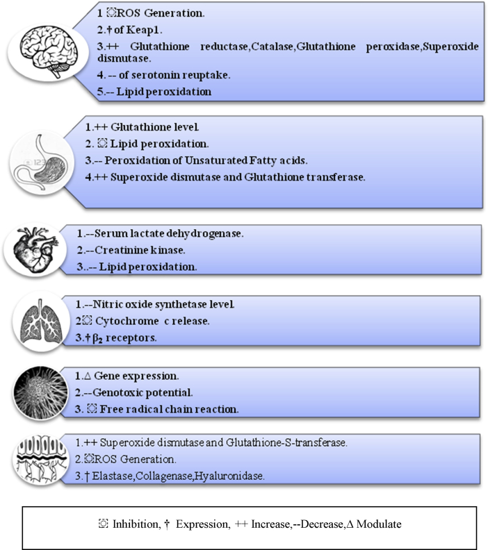 Figure 5