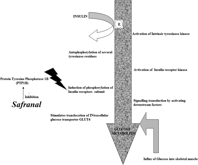 Figure 3