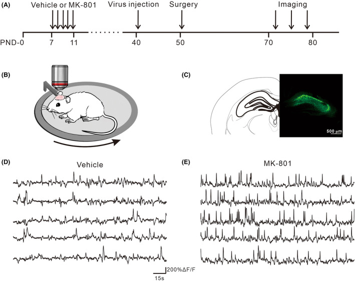 FIGURE 3