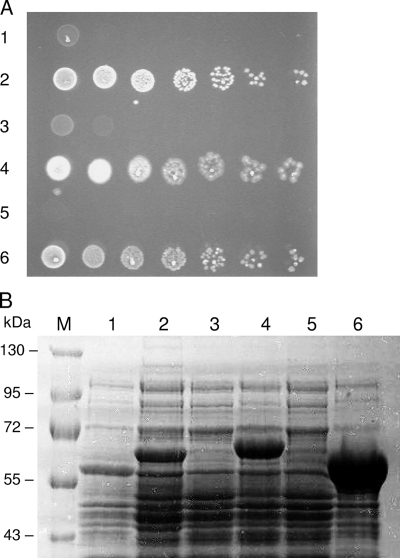 FIG. 8.