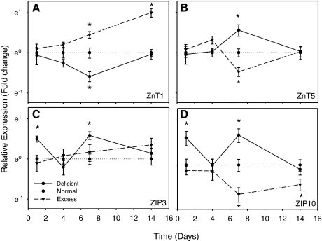 Fig. 2.