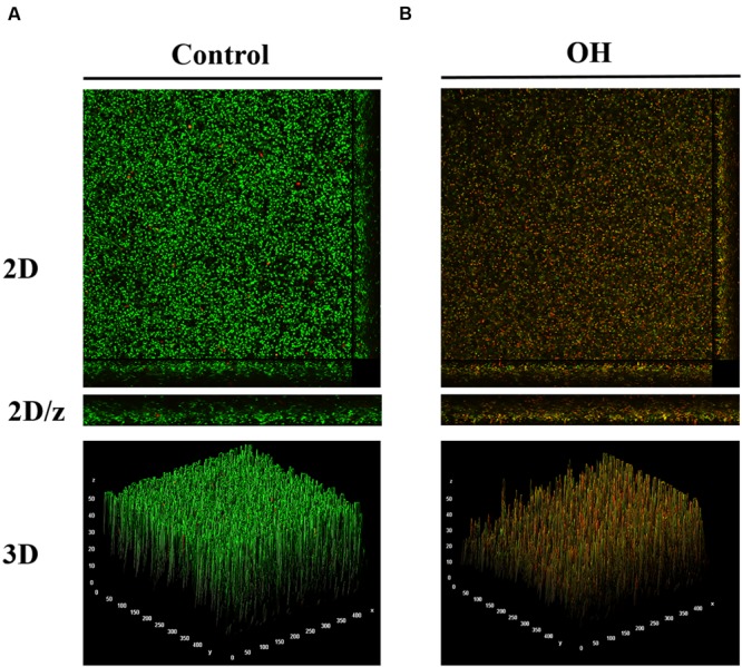 FIGURE 4