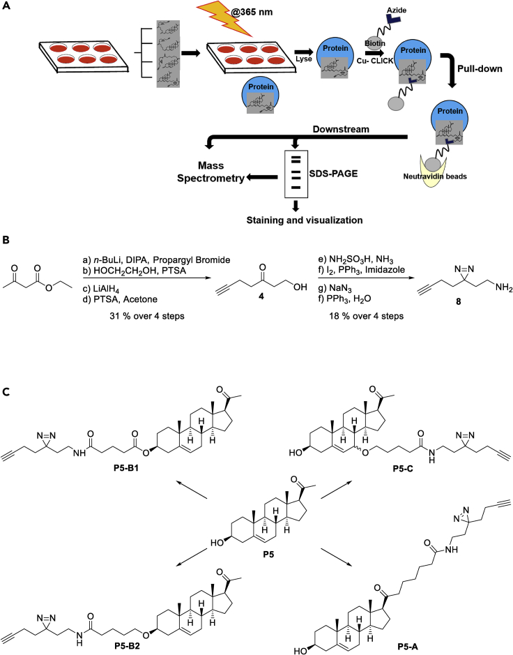 Figure 1