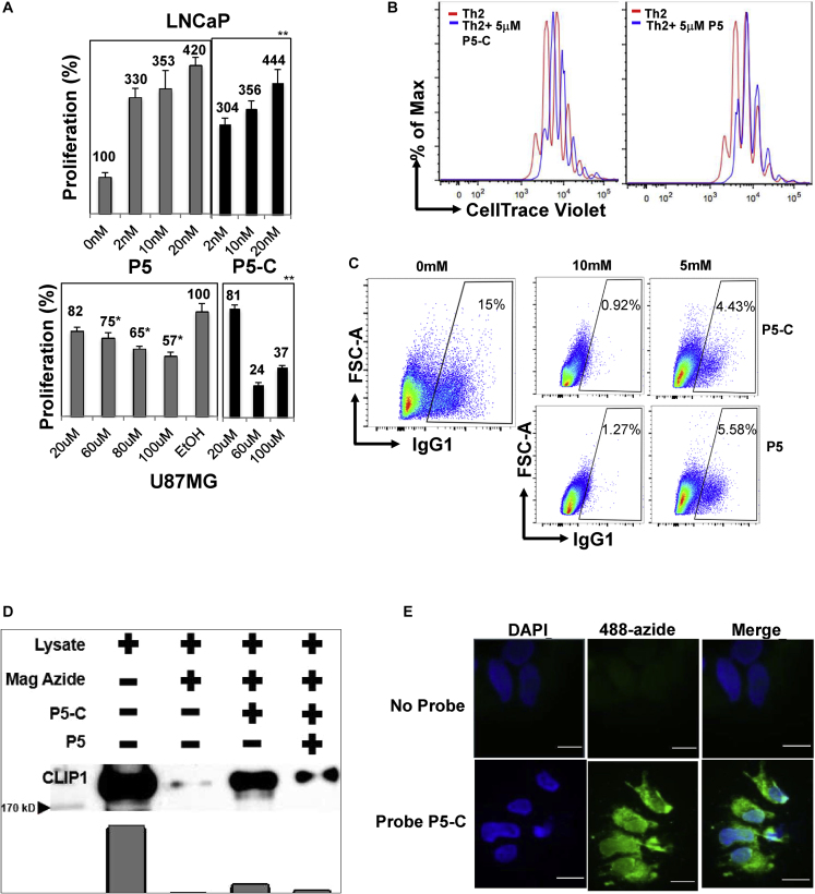 Figure 2