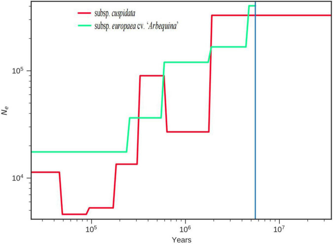 FIGURE 3