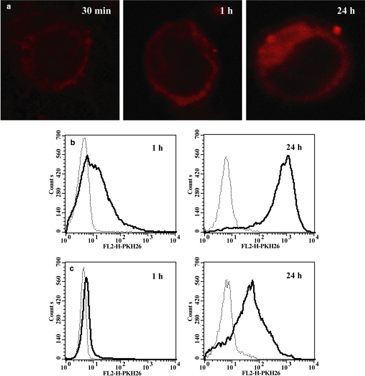 Fig. 4