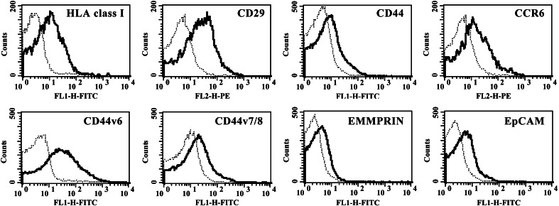 Fig. 2