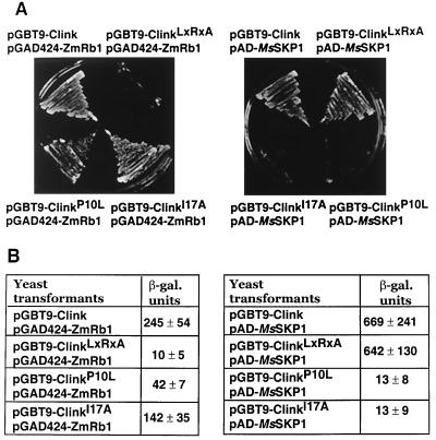 FIG. 3