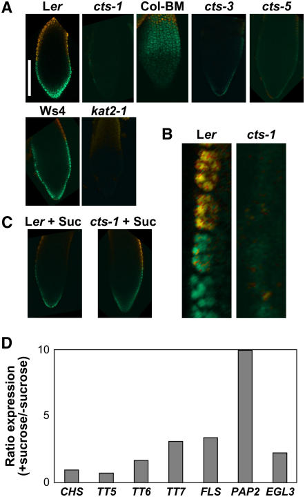 Figure 9.