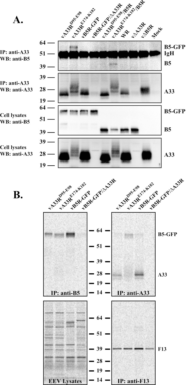 Fig 7