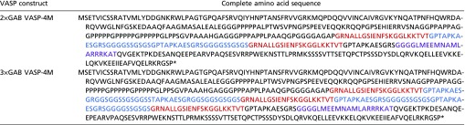 graphic file with name pnas.1703145114st02.jpg