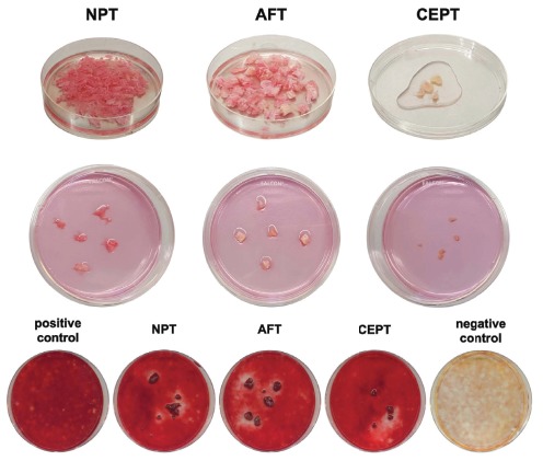 Fig. (2)