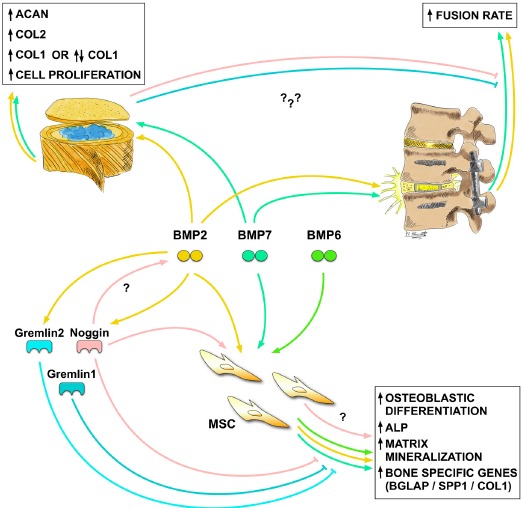 Fig. (3)