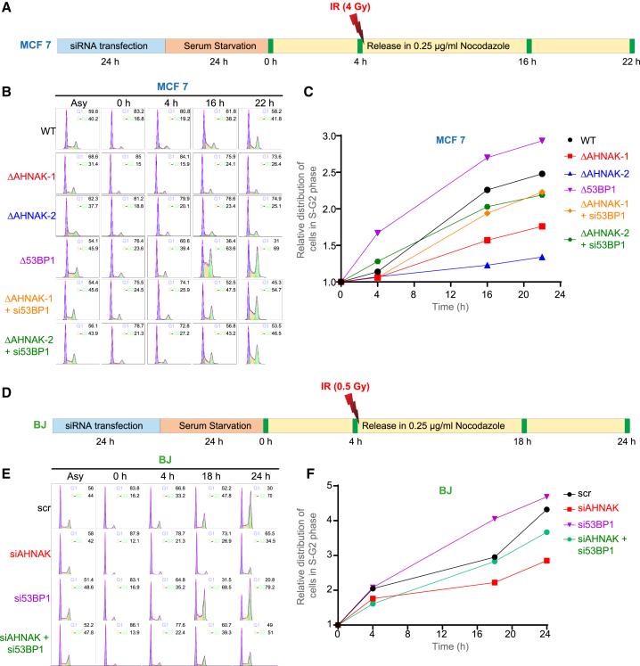 Figure 3