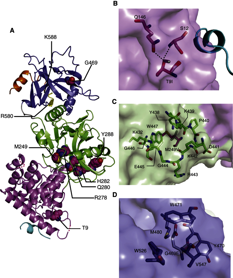 Figure 4