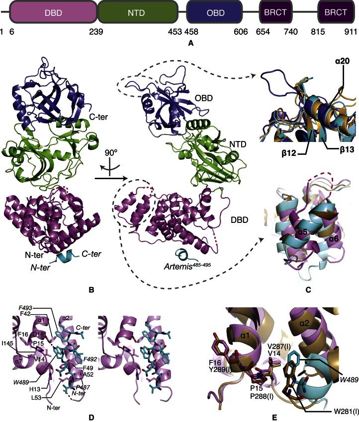 Figure 2