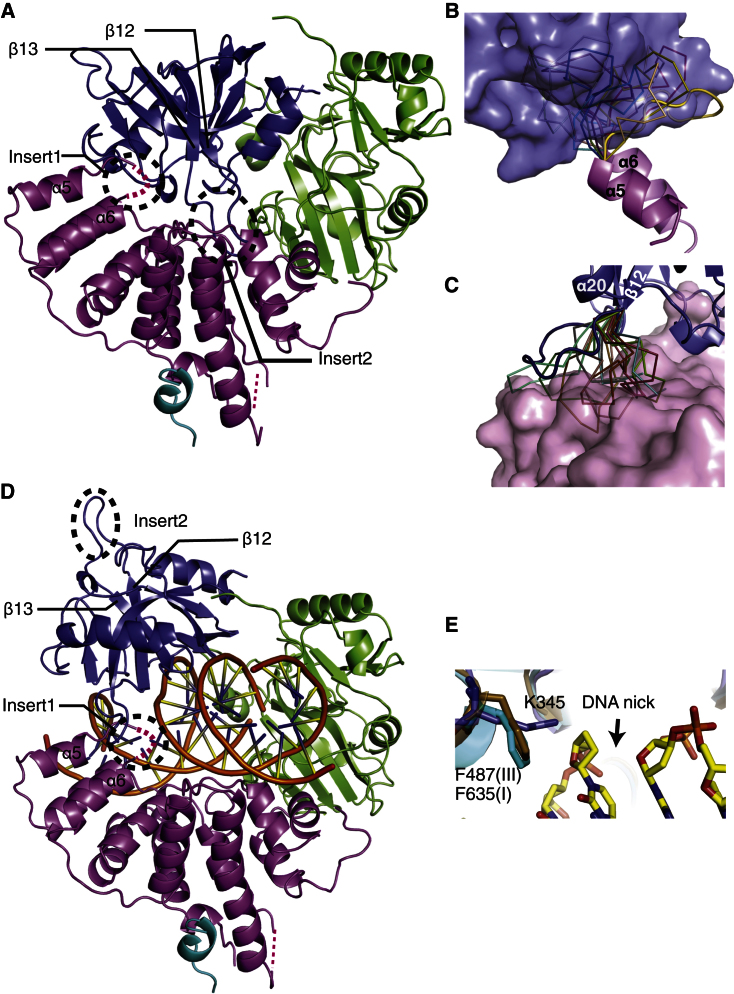 Figure 3